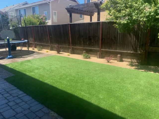 Lawn & Turf Installation project by HMD Landscapes 1