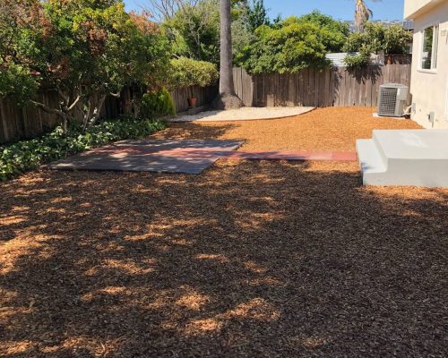 Back Yard Cleanup - Mulch